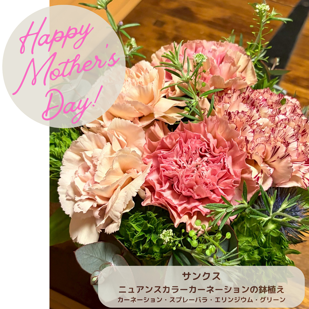 鎌倉ビール母の日ギフト2026カーネーションのフラワーアレンジメントと鎌倉ビール飲み比べセットクラフトビール